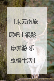 来云南旅居吧丨银龄康养游 乐享慢生活