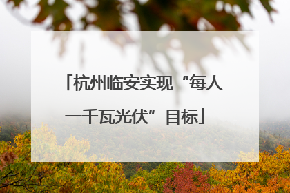 杭州临安实现“每人一千瓦光伏”目标