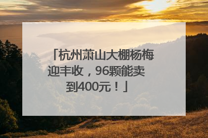 杭州萧山大棚杨梅迎丰收，96颗能卖到400元！