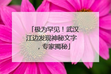 极为罕见！武汉江边发现神秘文字，专家揭秘