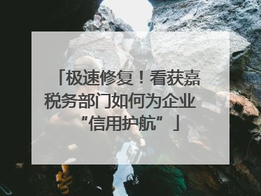 极速修复！看获嘉税务部门如何为企业“信用护航”