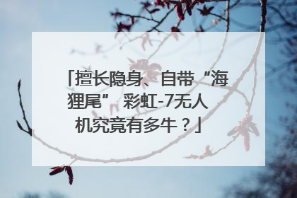 擅长隐身、自带“海狸尾” 彩虹-7无人机究竟有多牛？