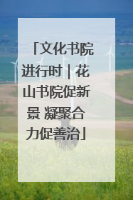 文化书院进行时｜花山书院促新景 凝聚合力促善治