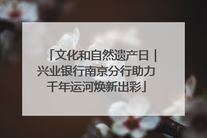 文化和自然遗产日｜兴业银行南京分行助力千年运河焕新出彩