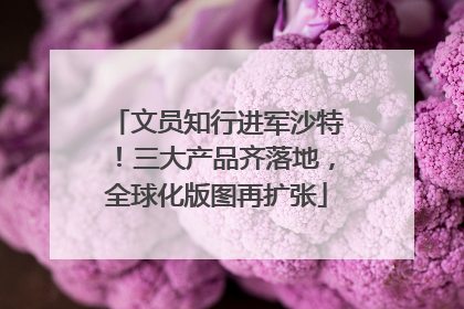 文员知行进军沙特！三大产品齐落地，全球化版图再扩张