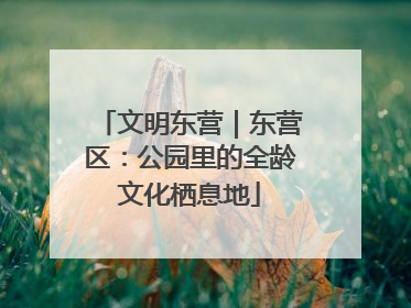 文明东营｜东营区：公园里的全龄文化栖息地