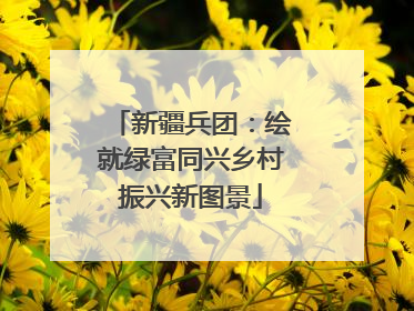 新疆兵团：绘就绿富同兴乡村振兴新图景