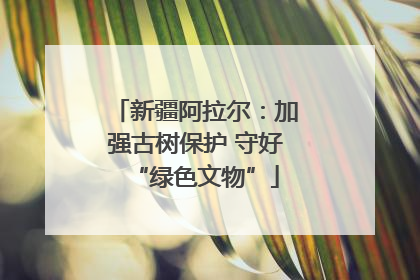 新疆阿拉尔：加强古树保护 守好“绿色文物”