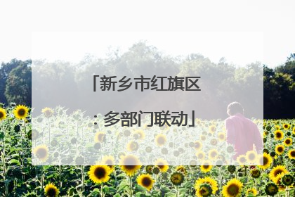 新乡市红旗区：多部门联动