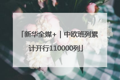 新华全媒+｜中欧班列累计开行110000列