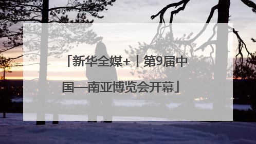新华全媒+丨第9届中国—南亚博览会开幕