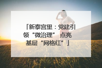 新泰宫里：党建引领“微治理” 点亮基层“网格红”