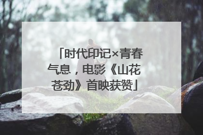 时代印记×青春气息，电影《山花苍劲》首映获赞