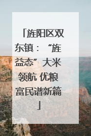 旌阳区双东镇：“旌益态”大米领航 优粮富民谱新篇