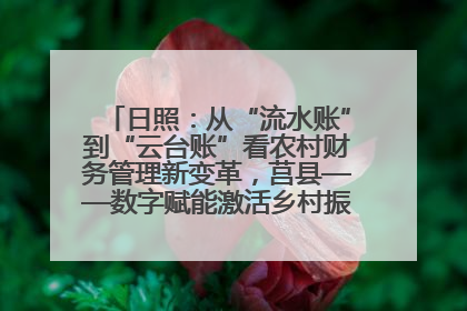 日照：从“流水账”到“云台账”看农村财务管理新变革，莒县——数字赋能激活乡村振兴“一池春水”
