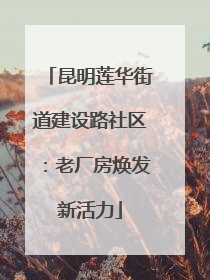 昆明莲华街道建设路社区：老厂房焕发新活力