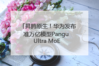 昇腾原生！华为发布准万亿模型Pangu Ultra MoE模型架构和训练细节
