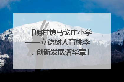 明村镇马戈庄小学——立德树人育桃李，创新发展谱华章