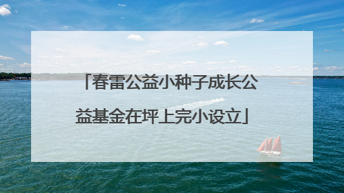 春雷公益小种子成长公益基金在坪上完小设立