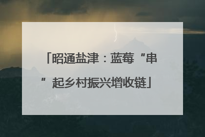昭通盐津：蓝莓“串”起乡村振兴增收链