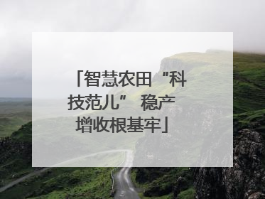 智慧农田“科技范儿” 稳产增收根基牢