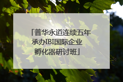普华永道连续五年承办IBI国际企业孵化器研讨班