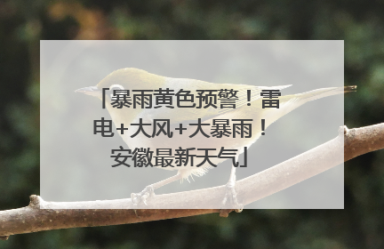 暴雨黄色预警！雷电+大风+大暴雨！安徽最新天气