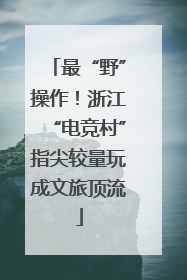 最“野”操作！浙江“电竞村”指尖较量玩成文旅顶流