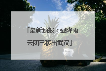最新预报：强降雨云团已移出武汉