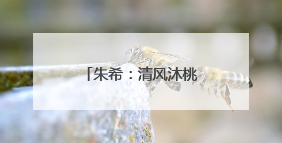 朱希：清风沐桃李 微光润初心