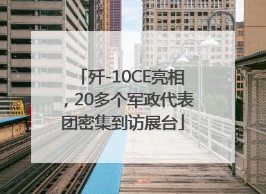 歼-10CE亮相，20多个军政代表团密集到访展台