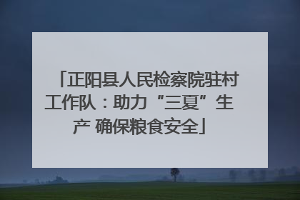 正阳县人民检察院驻村工作队：助力“三夏”生产 确保粮食安全