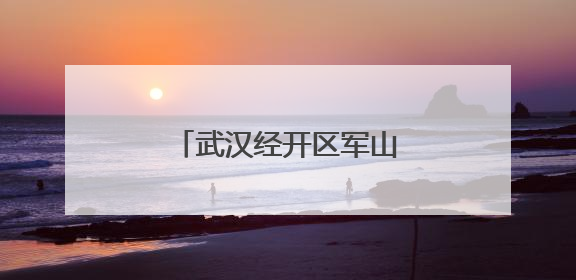 武汉经开区军山街道开展节前环境综合大整治行动