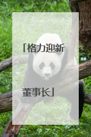 格力迎新董事长