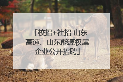 校招+社招 山东高速、山东能源权属企业公开招聘