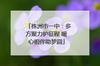 株洲市一中：多方聚力护征程 暖心相伴助梦圆