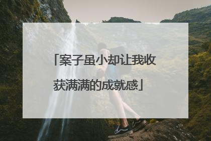 案子虽小却让我收获满满的成就感
