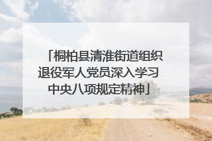 桐柏县清淮街道组织退役军人党员深入学习中央八项规定精神