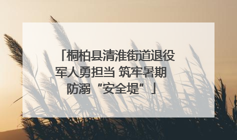 桐柏县清淮街道退役军人勇担当 筑牢暑期防溺“安全堤”