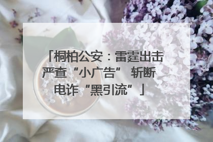 桐柏公安：雷霆出击严查“小广告” 斩断电诈“黑引流”