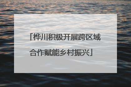 桦川积极开展跨区域合作赋能乡村振兴