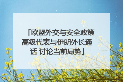 欧盟外交与安全政策高级代表与伊朗外长通话 讨论当前局势