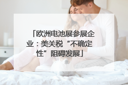 欧洲电池展参展企业：美关税“不确定性”阻碍发展