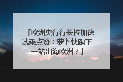 欧洲央行行长拉加德试乘点赞：萝卜快跑下一站出海欧洲？