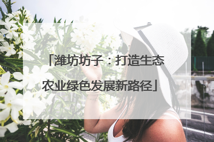 潍坊坊子：打造生态农业绿色发展新路径