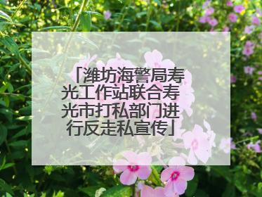 潍坊海警局寿光工作站联合寿光市打私部门进行反走私宣传