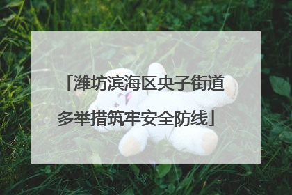 潍坊滨海区央子街道多举措筑牢安全防线