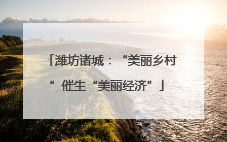 潍坊诸城：“美丽乡村”催生“美丽经济”
