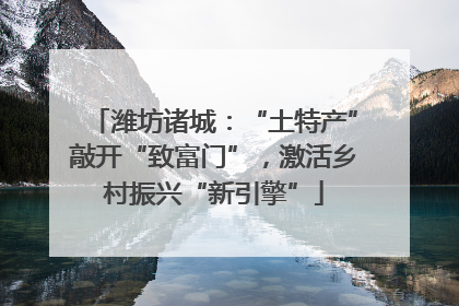 潍坊诸城：“土特产”敲开“致富门”，激活乡村振兴“新引擎”