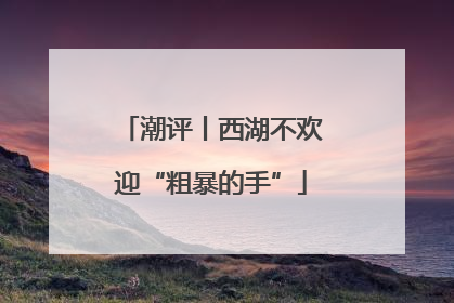 潮评丨西湖不欢迎“粗暴的手”